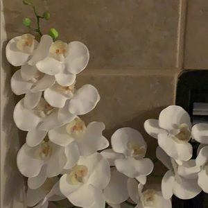 Meet your Posher, Verlany